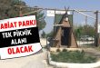 Tabiat Parkı Tek Piknik Alanı Olacak